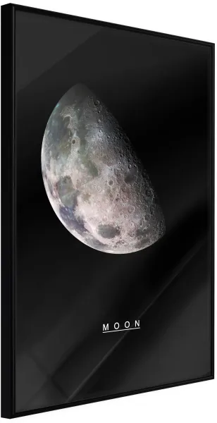 ARTGEIST Juliste kehyksellä - The Solar System: Moon Kultainen passe-partout'n kanssa 20x30